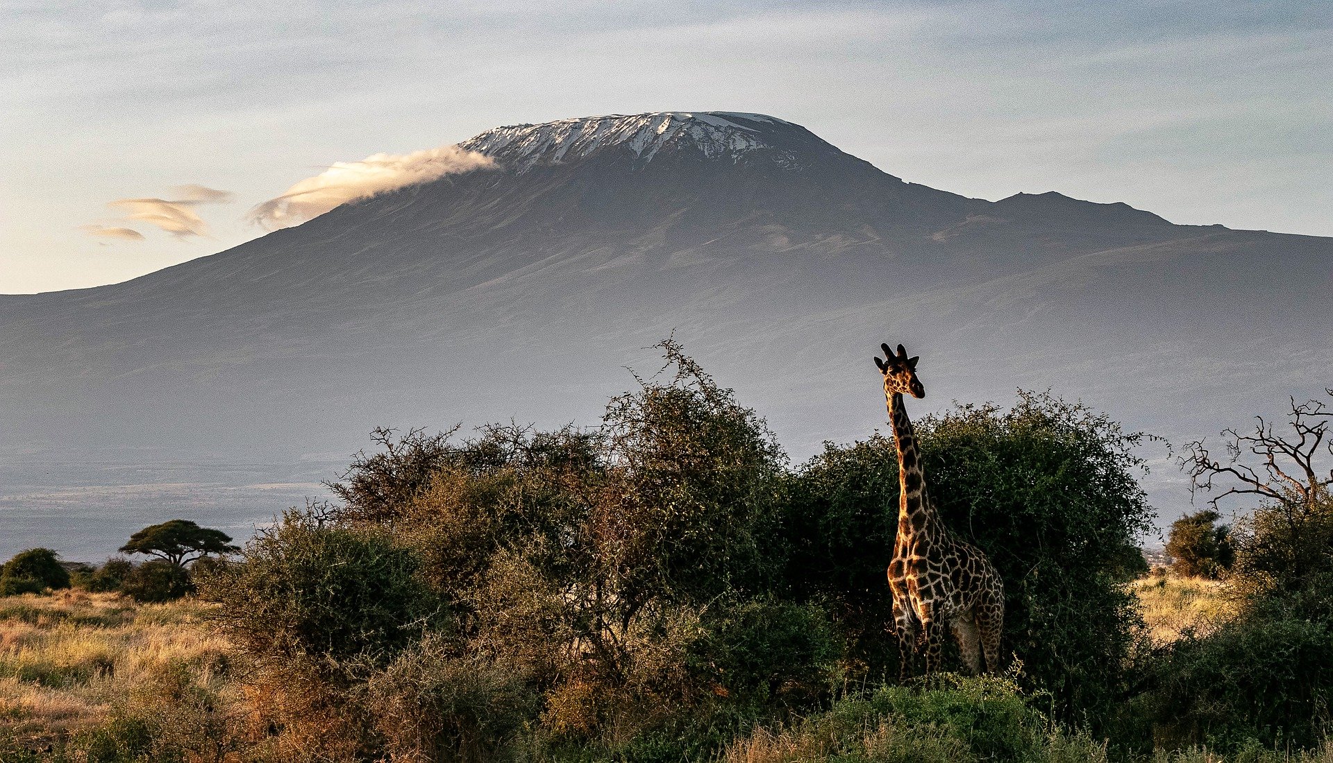 Esporte de aventura: Escalada ao Monte Kilimanjaro